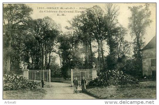 91 ORSAY ++ Allée Du Château Du Grand Mesnil ++ - Orsay