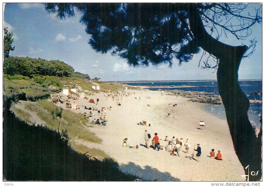 BEG MEIL  La Grande Plage - Timbrée TTB - Beg Meil