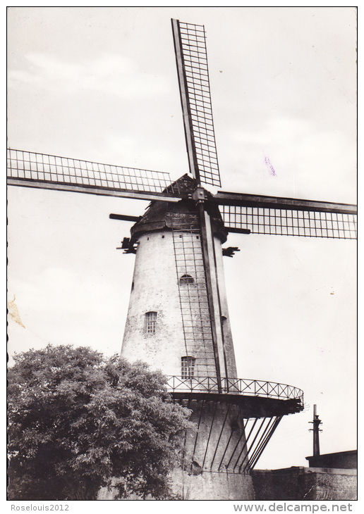 DEERLIJK : Molen Van Declercq (1898) - Deerlijk