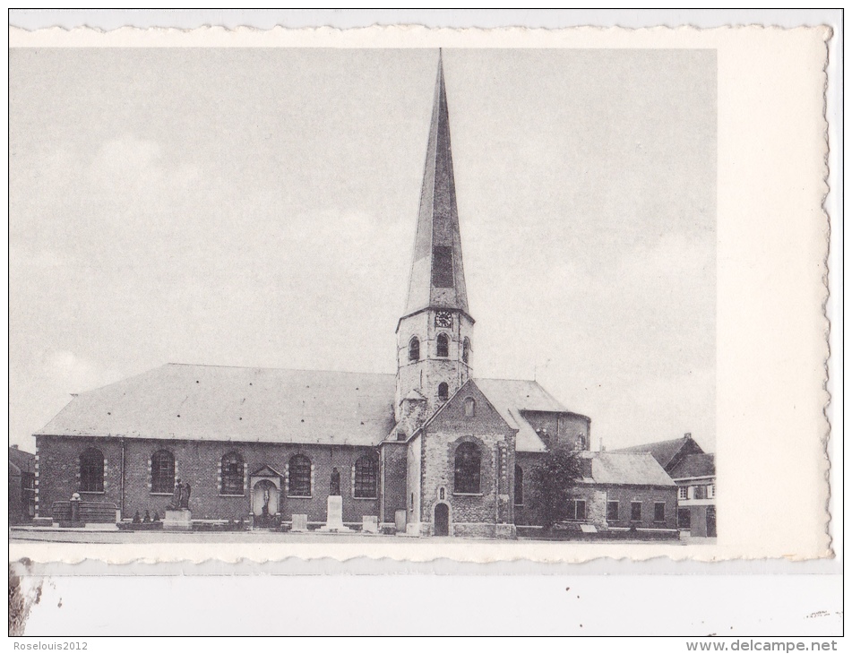 DEERLIJK : St Colomba Kerk, Renierplein - Deerlijk