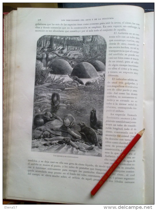 GRAN LIBRO LOS PRECURSORES DEL ARTE Y DE LA INDUSTRIA - J.G.WOOD - AÑO 1886 - BELLOS GARBADOS.NATURALEZA. LOS PRECURSORE - Craft, Manual Arts