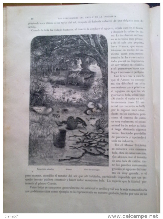 GRAN LIBRO LOS PRECURSORES DEL ARTE Y DE LA INDUSTRIA - J.G.WOOD - AÑO 1886 - BELLOS GARBADOS.NATURALEZA. LOS PRECURSORE - Sciences Manuelles