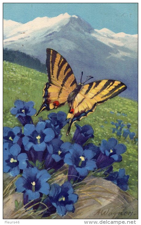 Illustrée Signée A. WAGNER : Papillon, Gentianes Dans Les Alpes - Insetti