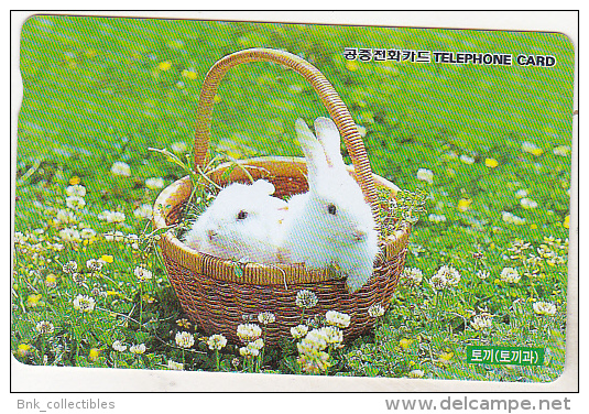 South Korea Old Phonecard - Rabbits - 10000 W - Conejos