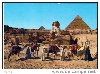 Egypt Giza ... XF276 - Gizeh