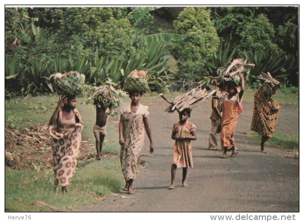 AFRIQUE -  COMORES - ANJOUAN - Retour Des Champs - Comorre