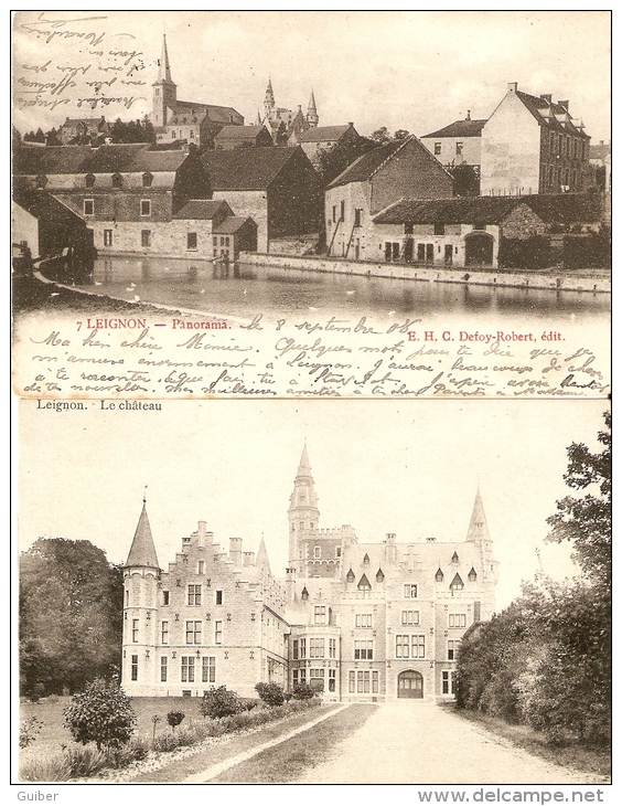 Leignon  Panorama N°7 & Le Chateau 2 Cartes Pub SBP - Ciney