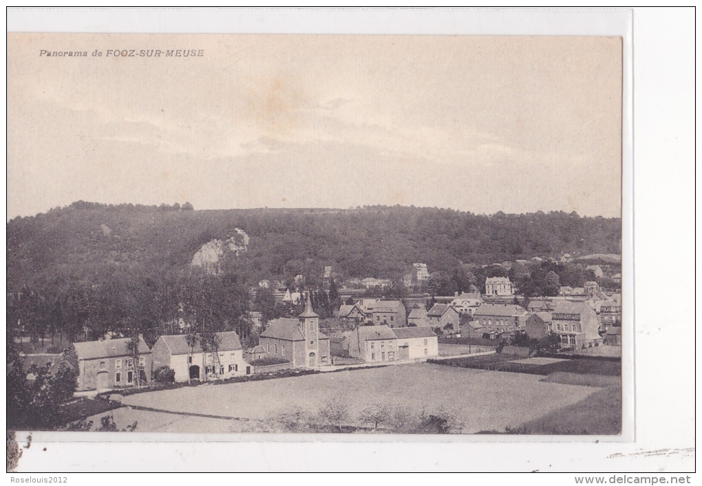 FOOZ-SUR-MEUSE : Panorama - Awans