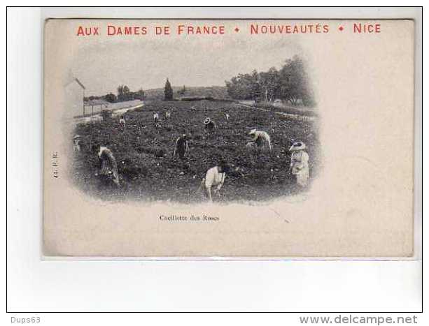Aux Dames De France - Nouveautés - NICE - Cueillette Des Roses - Très Bon état - Autres & Non Classés