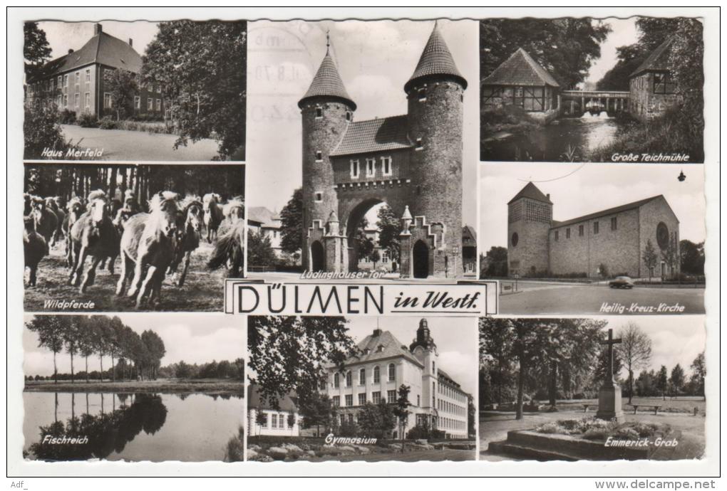 @ CPSM MULTIVUES DULMEN, HAUS MERFELD, FISCHTEICH, GYMNASIUM, 9 Cm Sur 14 Cm Environ, RHENANIE NORD WESTPHALIE ALLEMAGNE - Duelmen