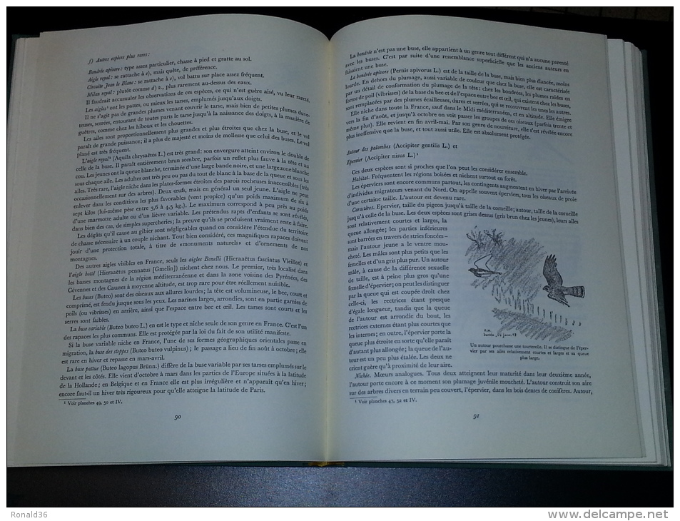 Grand Livre De La Chasse : Chiens De Chasses , Cerf Biche Palombe Perdrix Pigeons Sanglier .. Armes Munitions Méthode - Fischen + Jagen