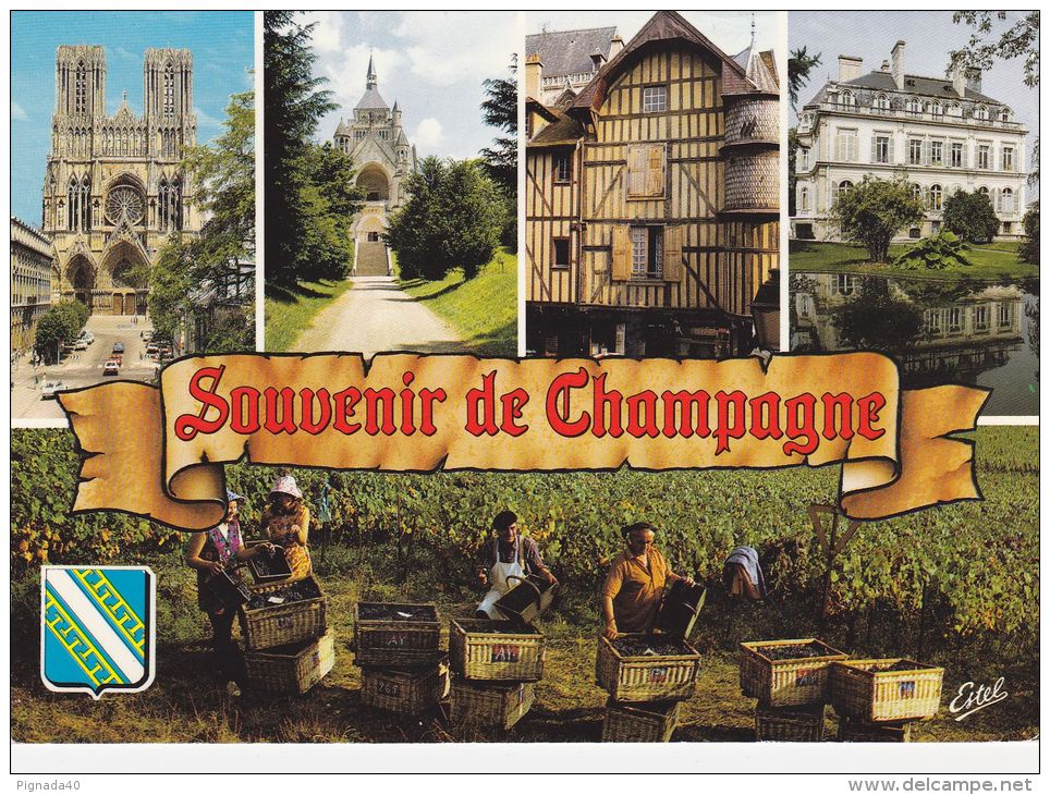 Cp , RÉGION Champagne-Ardennes , Souvenir De Champagne , Multi-Vues - Champagne-Ardenne