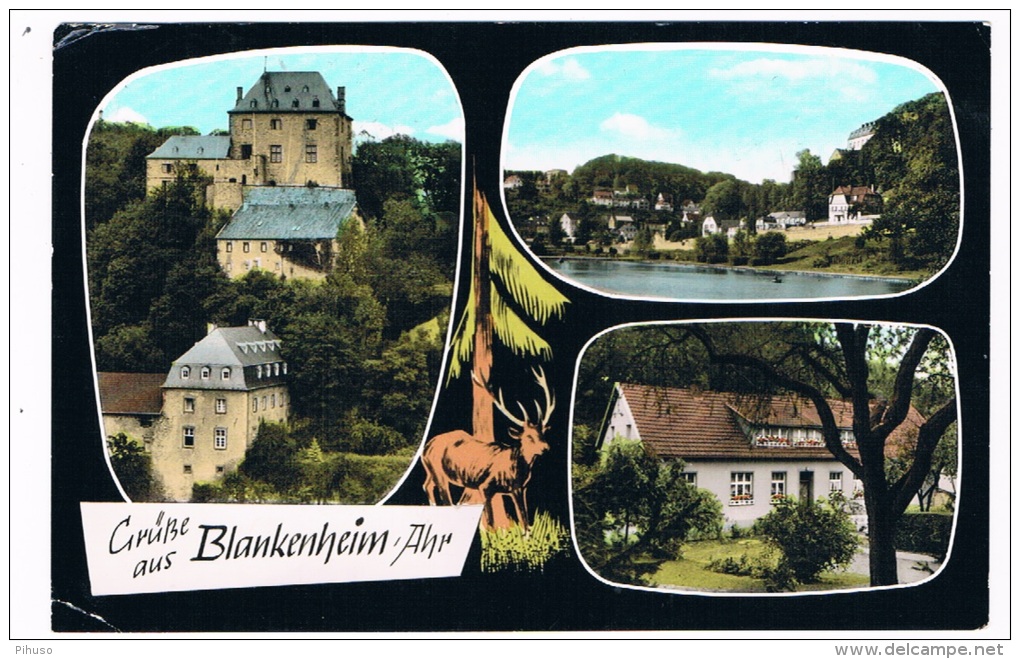 D4295     BLANKENHEIM ?AHR : Grusse Aus ( Multiview Mit Pension Klein-Dahlmen) - Euskirchen