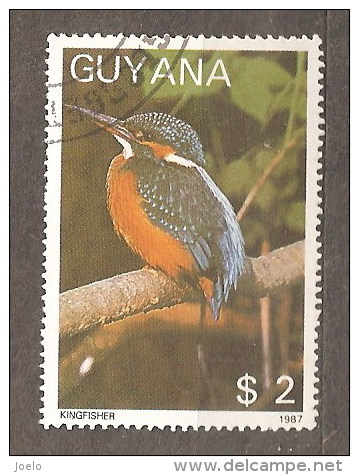 GUYANA 1987 KINGFISHER $2 - Picchio & Uccelli Scalatori
