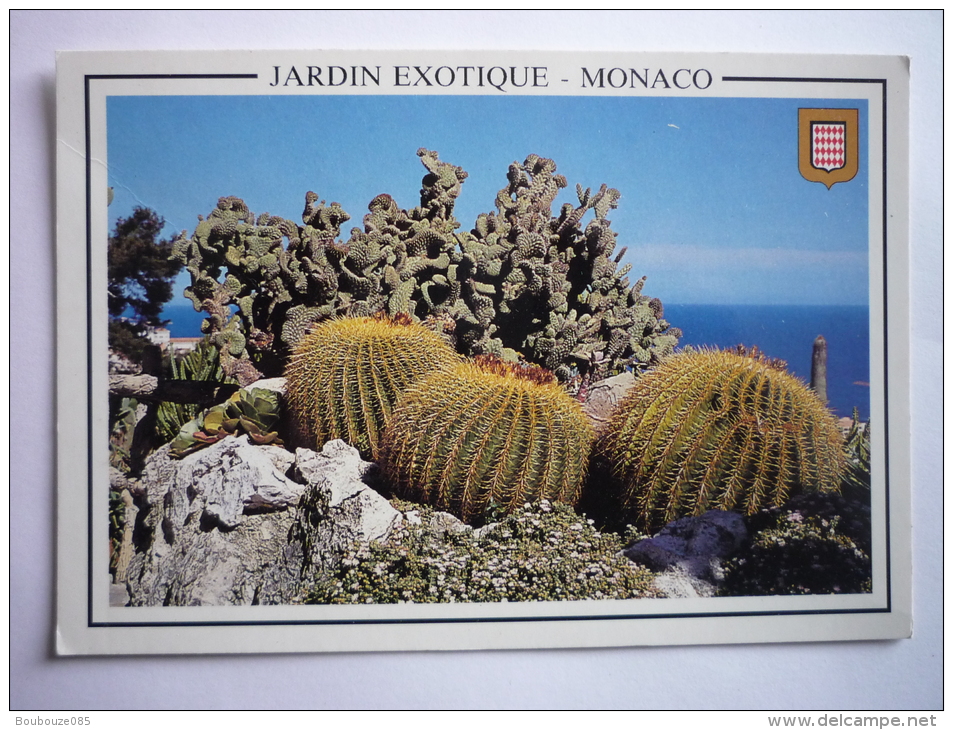 Monaco ( 06 ) Le Jardin Exotique ( Echino Cactus Grusolini - Mexique - Coussin De Belle Mere - Exotische Tuin