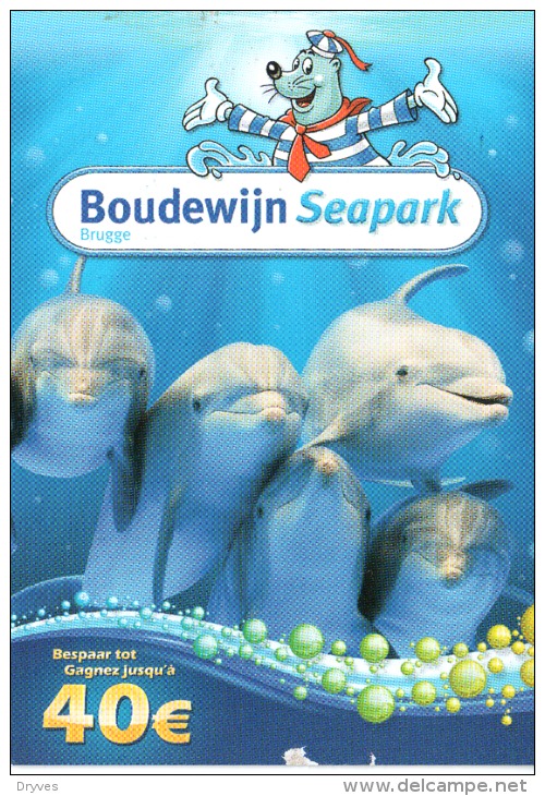 Carte Publicitaire - Belgique - Boudewijn Seapark Brugge - Pubblicitari