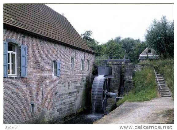 SCHEPDAAL Bij DILBEEK (Vl.-Brab.) - Molen/moulin - Molen Van Sint-Gertrudis-Pede In Werking Na De Restauratie (2002). - Dilbeek