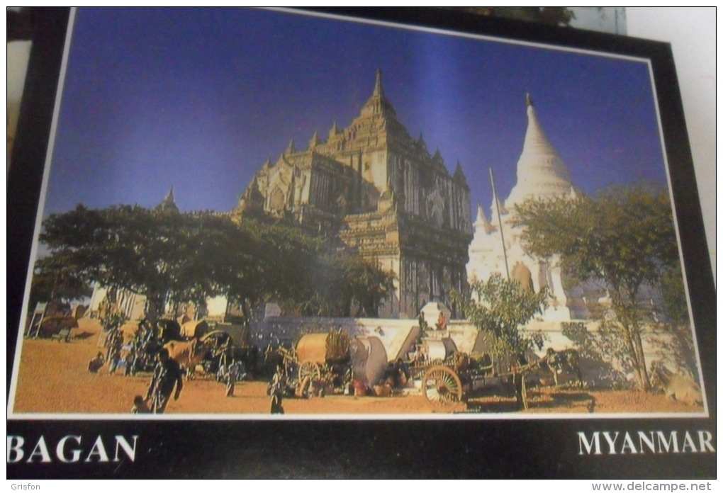 Btyn Yu  Bagan - Myanmar (Burma)