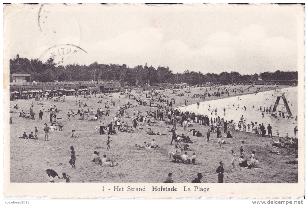 HOFSTADE : Het Strand - Zemst