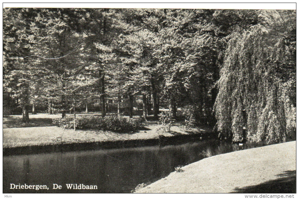 De Wildbaan - Driebergen – Rijsenburg