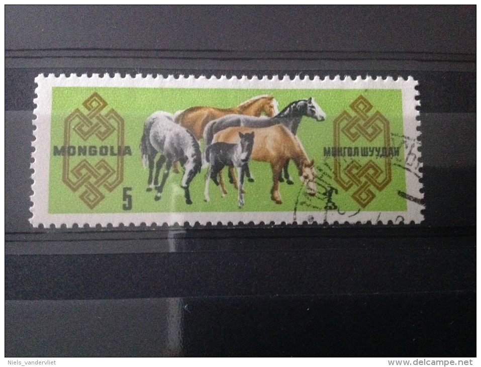 Mongolië - Paardenfokkerij 1965 - Mongolië