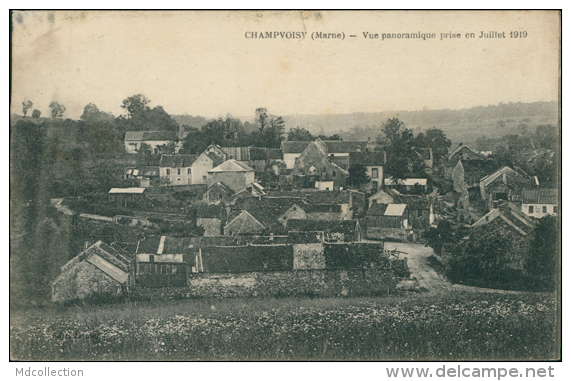 51 CHAMPVOISY / Vue Panoramique / - Champigny