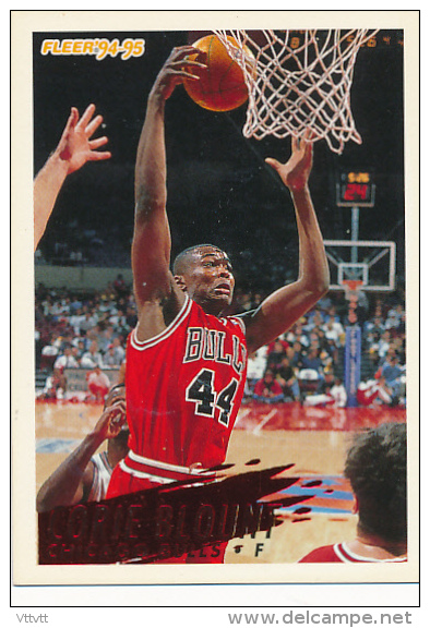 Basket, NBA, Fleer 94/95 : CORIE BLOUNT, CHICAGO BULLS, N° 31 - 1990-1999