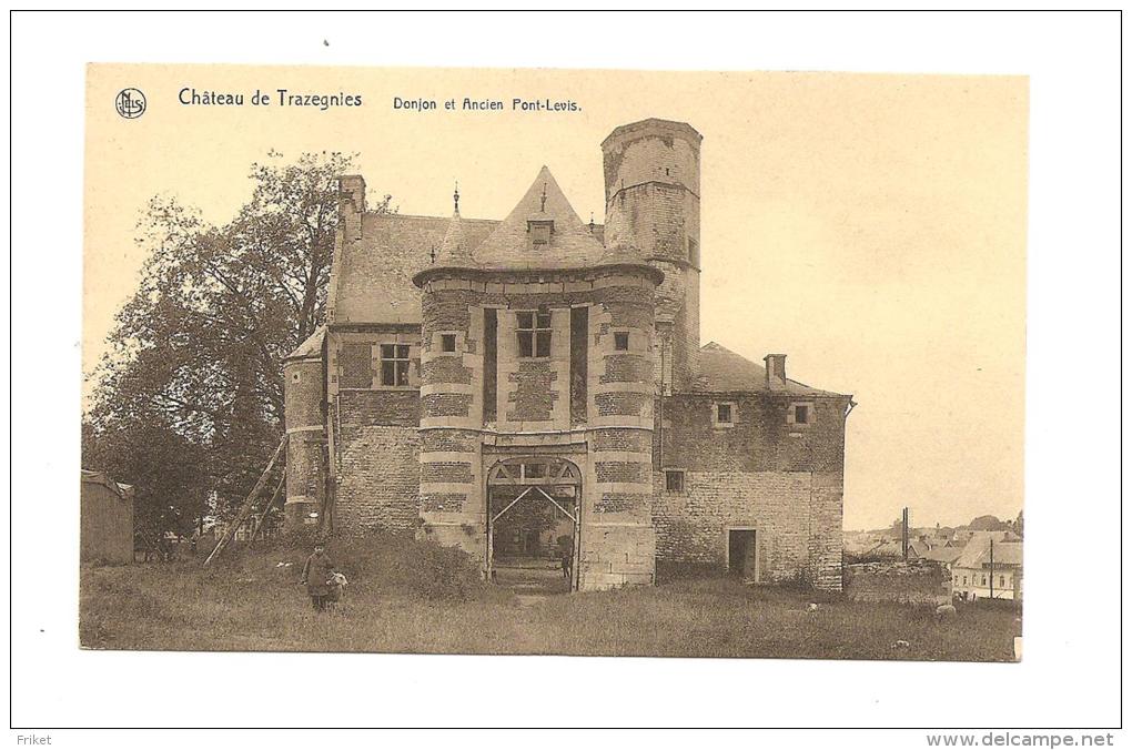 - 2317 -   TRAZEGNIES (Courcelles)  Chateau - Courcelles