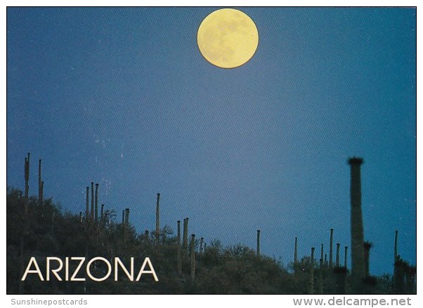 Arizona Tempe Moonlit Desert - Tempe