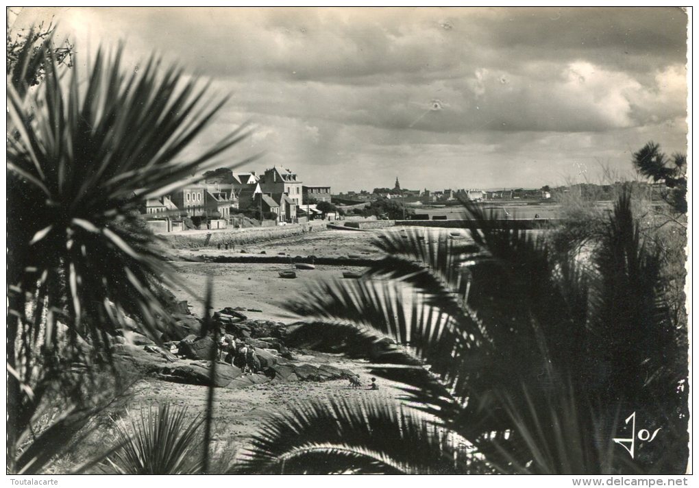 CPSM 29 ILE DE BATZ LE PORT ET A L HORIZON ROSCOFF 1956  Grand Format 15 X 10,5 - Ile-de-Batz