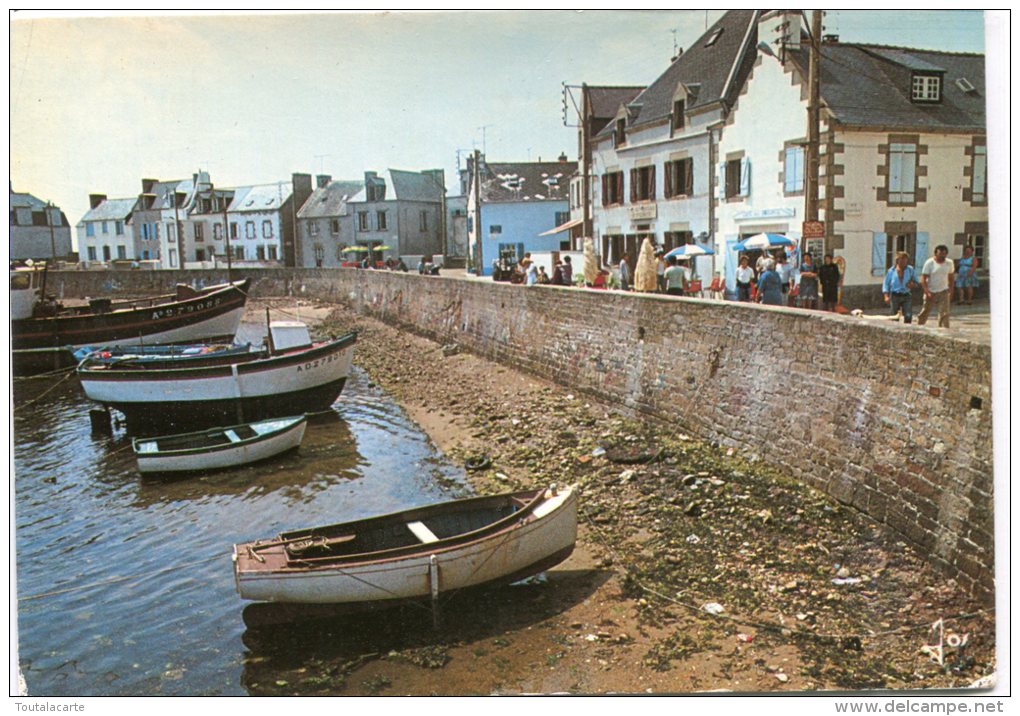 CPSM 29  ILE DE SEIN VUE LE QUAI DES FRANCAIS LIBRES  Grand Format 15 X 10,5 - Ile De Sein