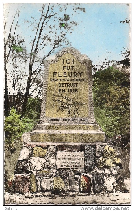 MONUMENT DE FLEURY  OU ETAIT LE VILLAGE - Sonstige & Ohne Zuordnung