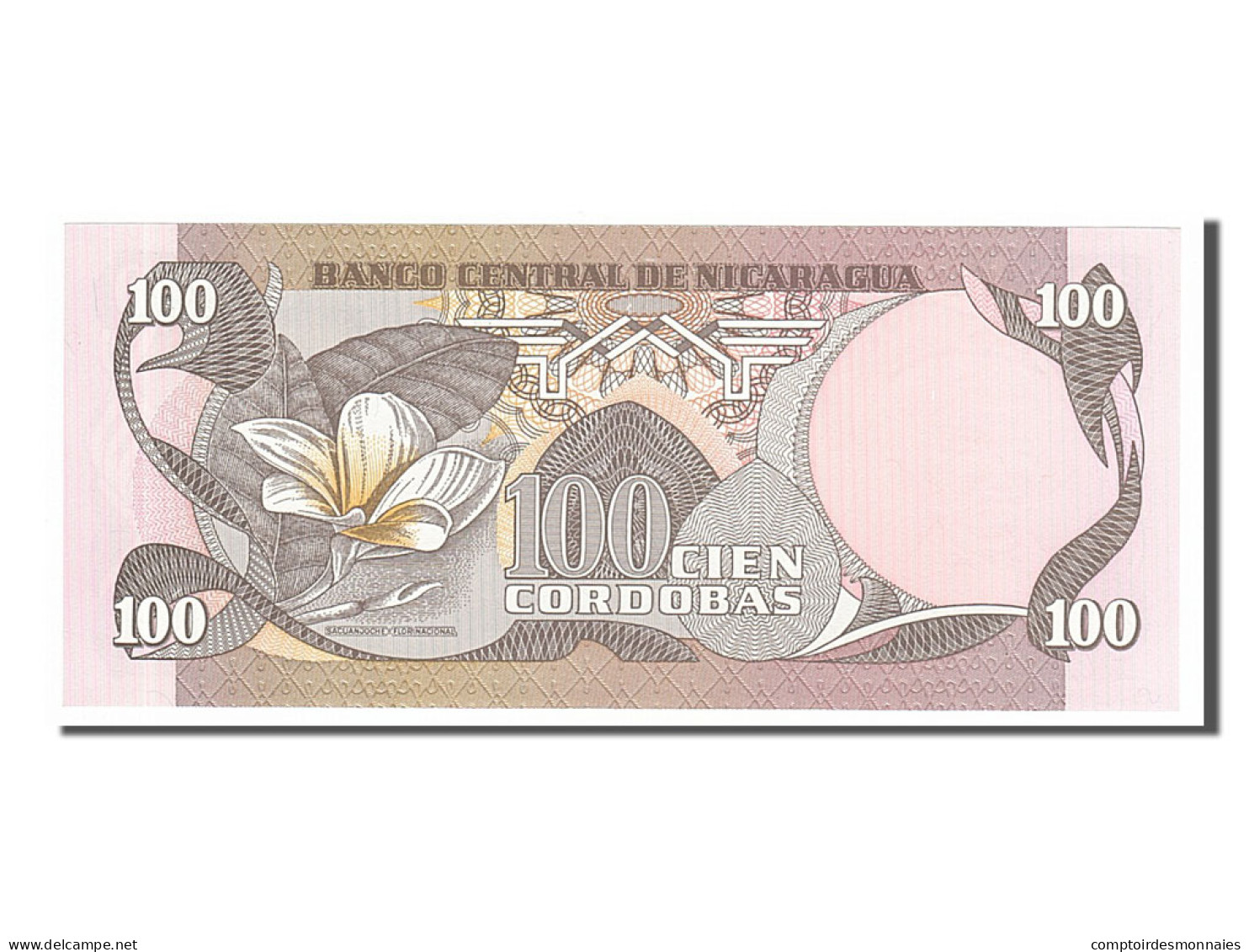 Billet, Nicaragua, 100 Cordobas, 1985, NEUF - Nicaragua