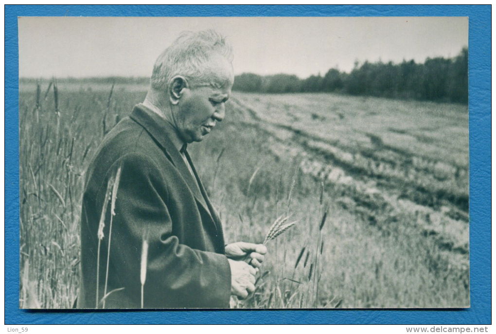 140040 / WRITER Russia - Mikhail Aleksandrovich Sholokhov - Nobel Prize In Literature 1965 Cereal Field - Publ. Russie - Premio Nobel