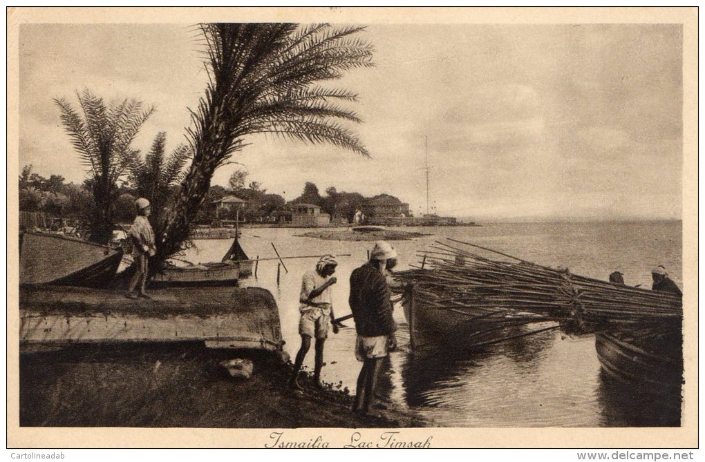 [DC6993] EGITTO - ISMAILIA - LAC TIMSAH - ANIMATA - Viaggiata - Old Postcard - Ismaïlia