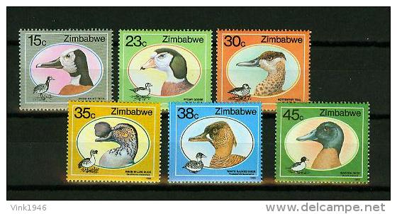 Zimbabwe 1988,6V.uccelli,birds,vogels,vögel,oiseaux,pajaros,MNH/Postfr,E3825it) - Autres & Non Classés