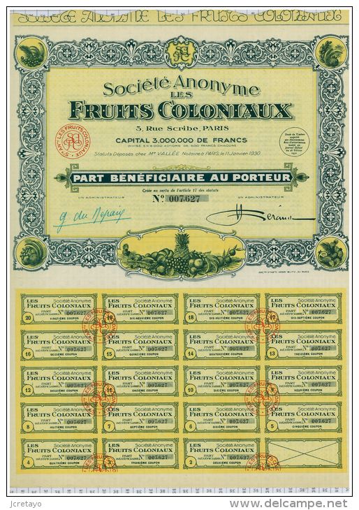 SA Les Fruits Coloniaux, Déco - Landbouw