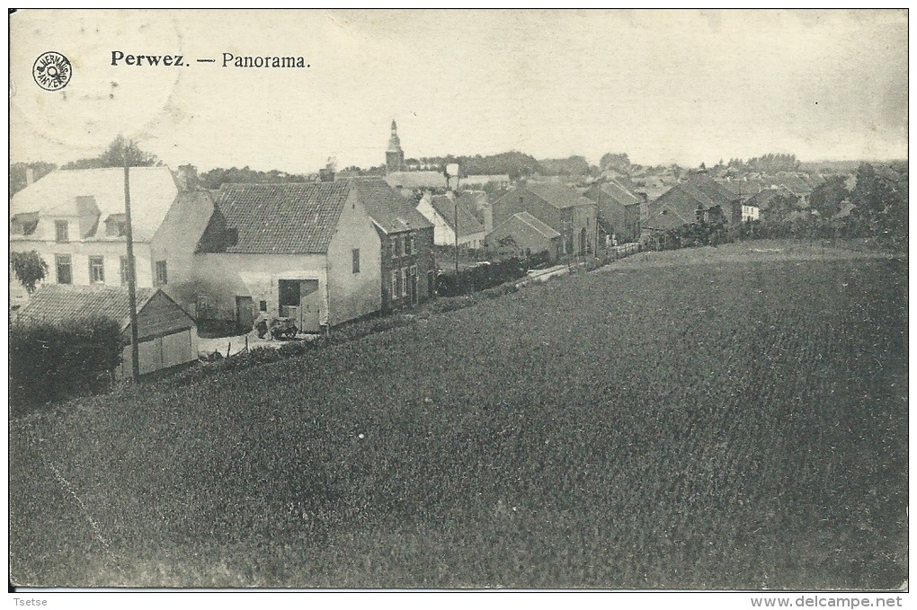 Perwez - Panorama … De La Commune  - 1924 ( Voir Verso ) - Perwez