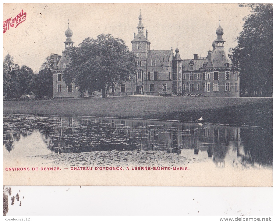 DEINZE : Châterau De OYDONCK à LEERNE-SAINTE-MARIE - Deinze