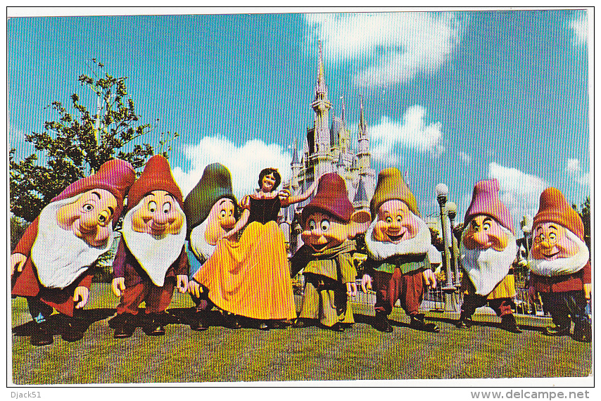 Walt Disney World - Blanche Neige Et Les 7 Nains (Post Card U.S.A.) - Disneyworld