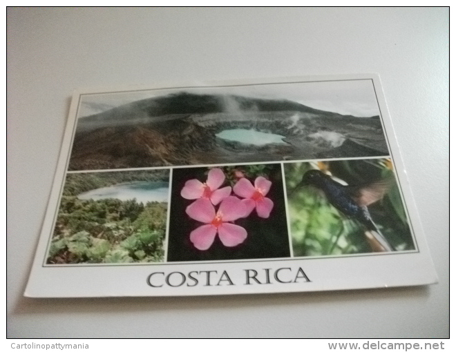 STORIA POSTALE FRANCOBOLLO COMMEMORATIVO Con Rana Costarica Uccello Colibrì - Costa Rica