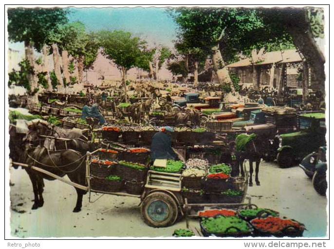 Chateaurenard - Un Coin Du Marché Aux Primeurs (DD) - Chateaurenard