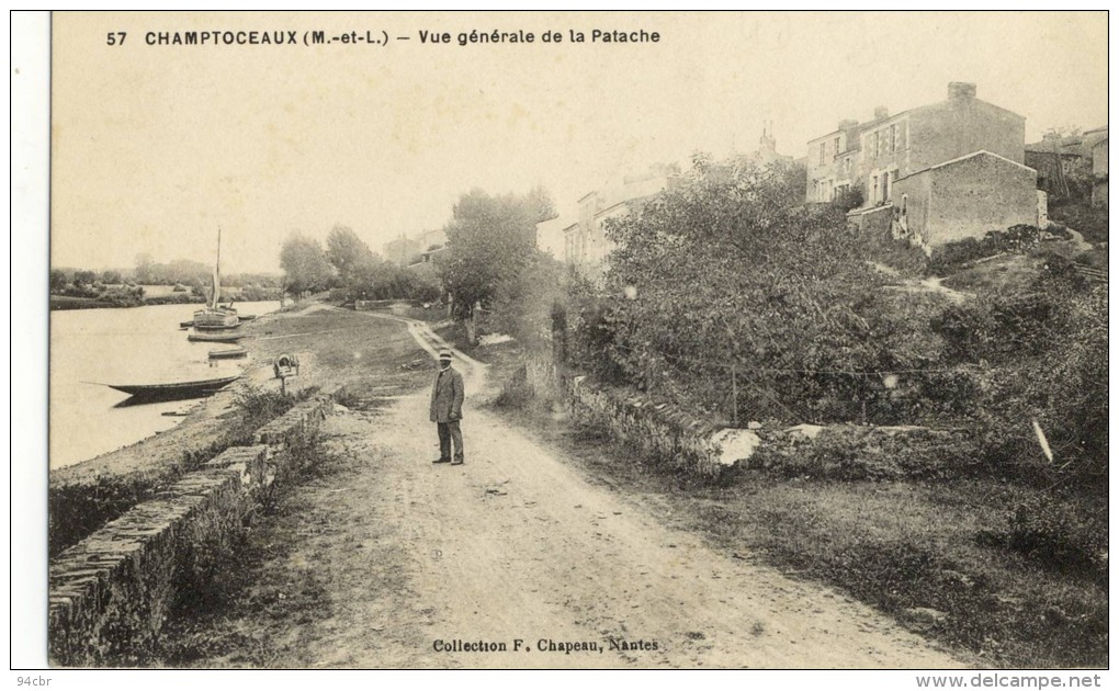 CPA (49)    CHAMPTOCEAUX Vue Generale De La Patache - Champtoceaux