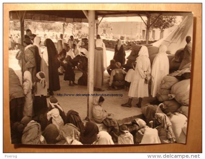 PHOTO GRAND FORMAT 18X24 - TUNISIE 22 MAI 1955 - OPERATION FRUCTIDOR DISTRIBUTION CEREALES ARMEE Tirage D'époque FERRARI - Other & Unclassified