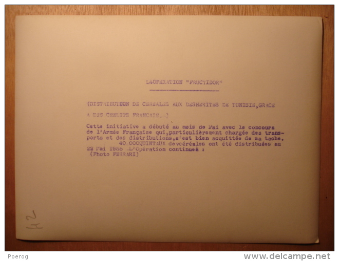 PHOTO GRAND FORMAT 18X24 - TUNISIE 22 MAI 1955 - OPERATION FRUCTIDOR DISTRIBUTION CEREALES ARMEE Tirage D'époque FERRARI - Other & Unclassified