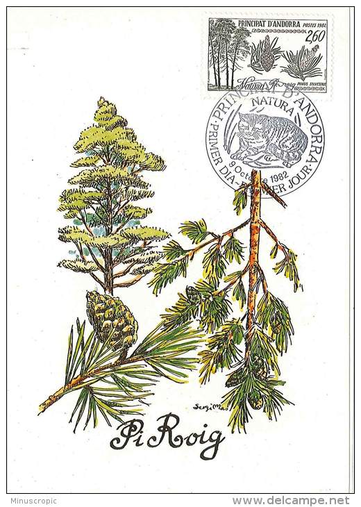 CM Andorre - Proteccio De La Natura - 1982 - Pi Roig - Maximum Cards