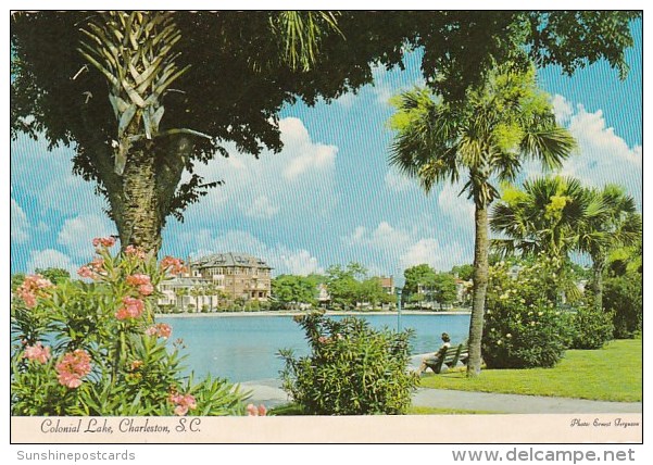 Colonial Lake Charleston South Carolina - Charleston