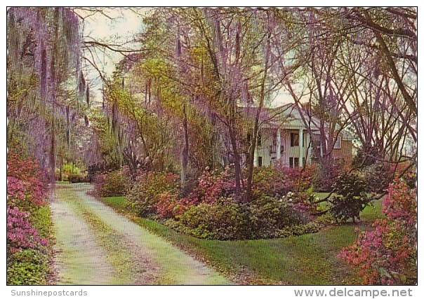 A Beautiful Florence Home Florence South Carolina - Florence