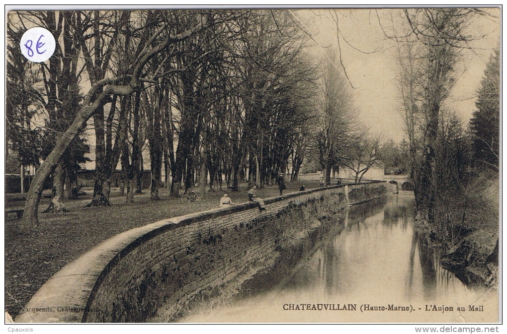 CHATEAUVILLAIN L'Aujon Au Mail - Chateauvillain