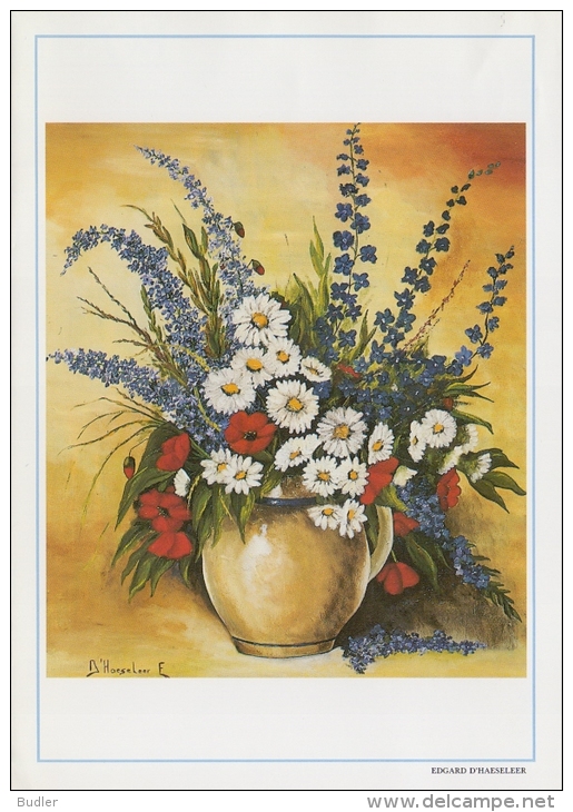 PGR-37-G : Edgard D´HAESELEER : ## Veldbloemen / Fleurs Des Champs ## : ART,PAINTING,FLOWERS, - Postogram